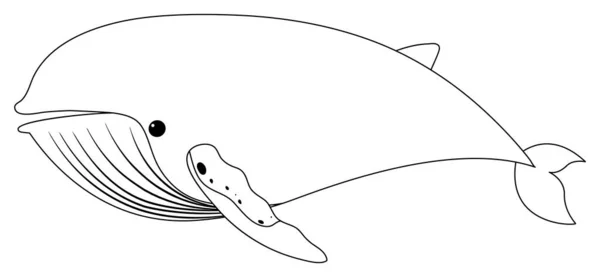 Zarys Rysunek Wieloryba Białym Tle Ilustracji — Wektor stockowy