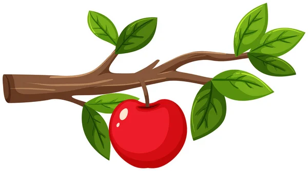 Ένα Κόκκινο Μήλο Στην Ξύλινη Απεικόνιση Κλαδί — Διανυσματικό Αρχείο