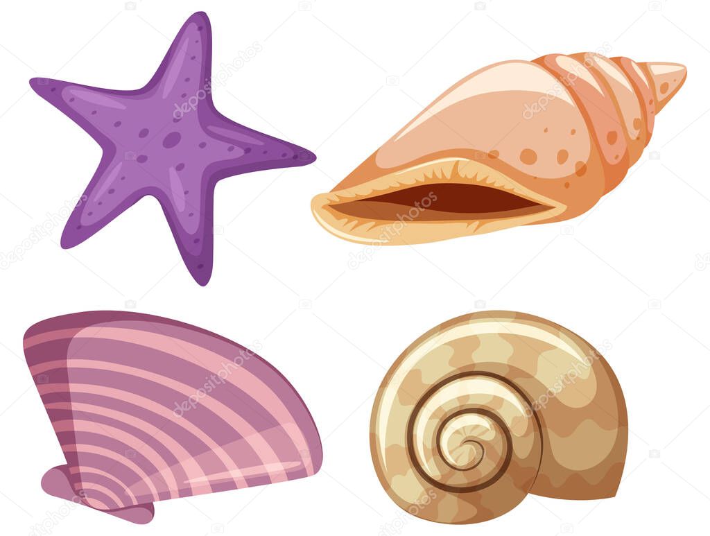 Set of starfish and seashells on white background illustration