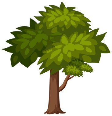 Beyaz arkaplan resimlerinde büyük bir ağaç