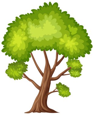 Beyaz arkaplan resimlerinde büyük bir ağaç