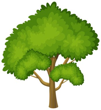 Beyaz arkaplan resimlerinde büyük bir ağaç