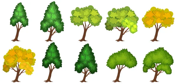 Uppsättning Träd Vit Bakgrund Illustration — Stock vektor