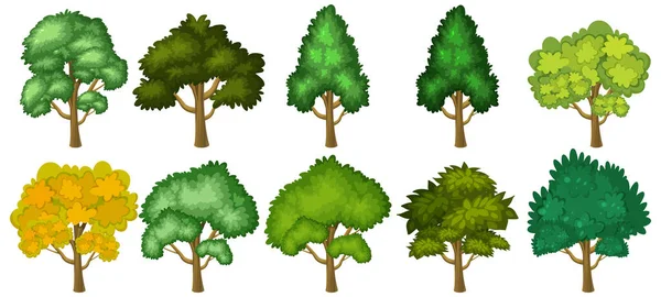 Sada Zelených Stromů Bílém Pozadí Ilustrace — Stockový vektor