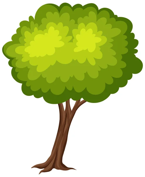 Gran Árbol Sobre Fondo Blanco Ilustración — Vector de stock