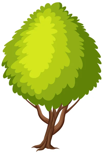 Gran Árbol Sobre Fondo Blanco Ilustración — Vector de stock