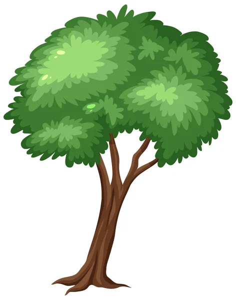 Gran Árbol Sobre Fondo Blanco Ilustración — Vector de stock