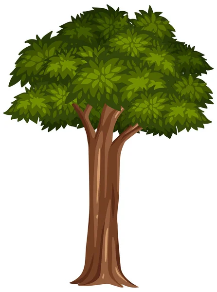 Jedno Duże Drzewo Białym Tle Ilustracji — Wektor stockowy