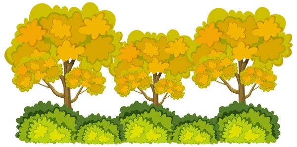 Drie Grote Drieën Met Gele Bladeren Witte Achtergrond Illustratie — Stockvector