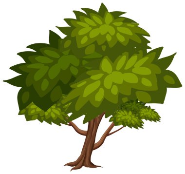 Beyaz arkaplan resimlerinde büyük bir ağaç