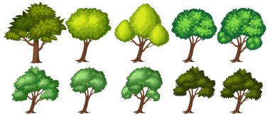 Beyaz arkaplanda büyük yeşil ağaçlar