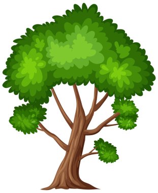 Beyaz arkaplan resimlerinde büyük bir ağaç