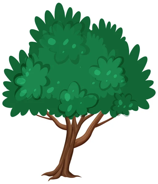 Ett Stort Träd Vit Bakgrund Illustration — Stock vektor