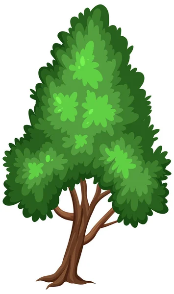 Gran Árbol Sobre Fondo Blanco Ilustración — Vector de stock