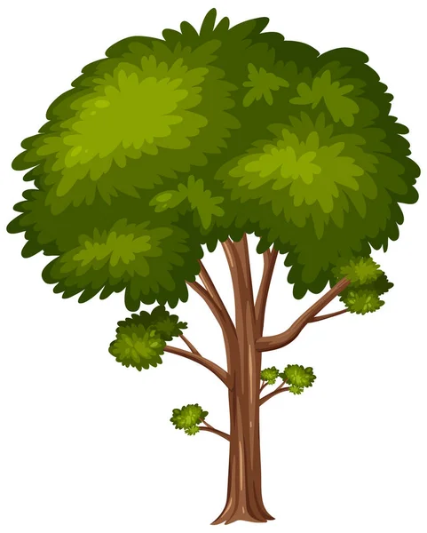 One Big Tree White Background Illustration — Stock Vector