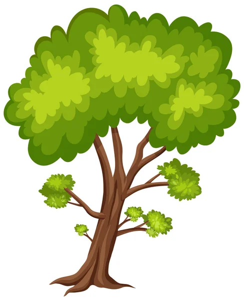 One Big Tree White Background Illustration — Stock Vector