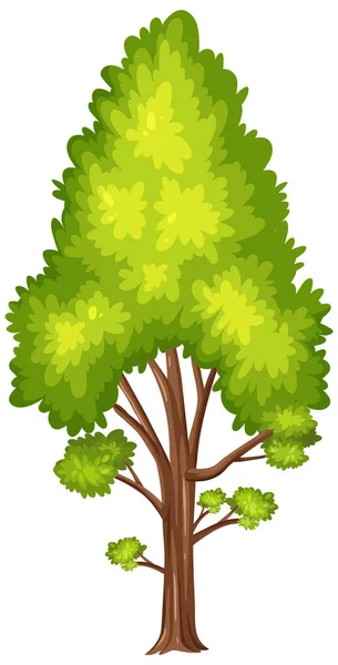 白地図の一本の大きな木 — ストックベクタ