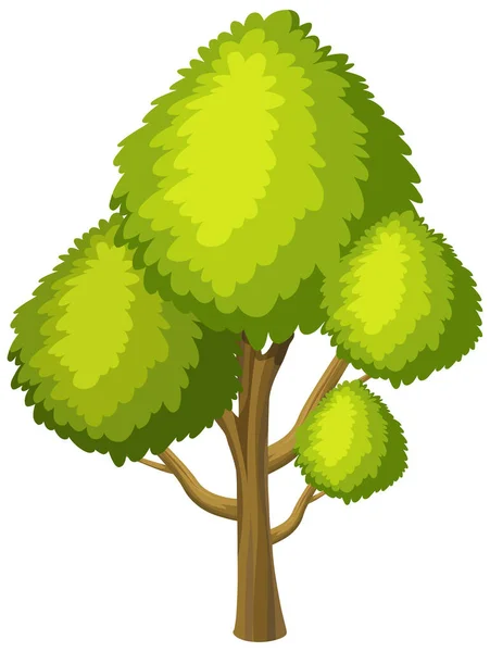 Gran Árbol Sobre Fondo Blanco Ilustración — Vector de stock