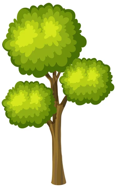Satu Pohon Besar Dengan Ilustrasi Latar Belakang Putih - Stok Vektor