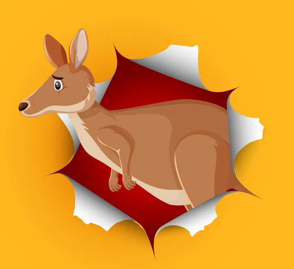 Niedliches Känguru Kommt Aus Rissiger Wand — Stockvektor