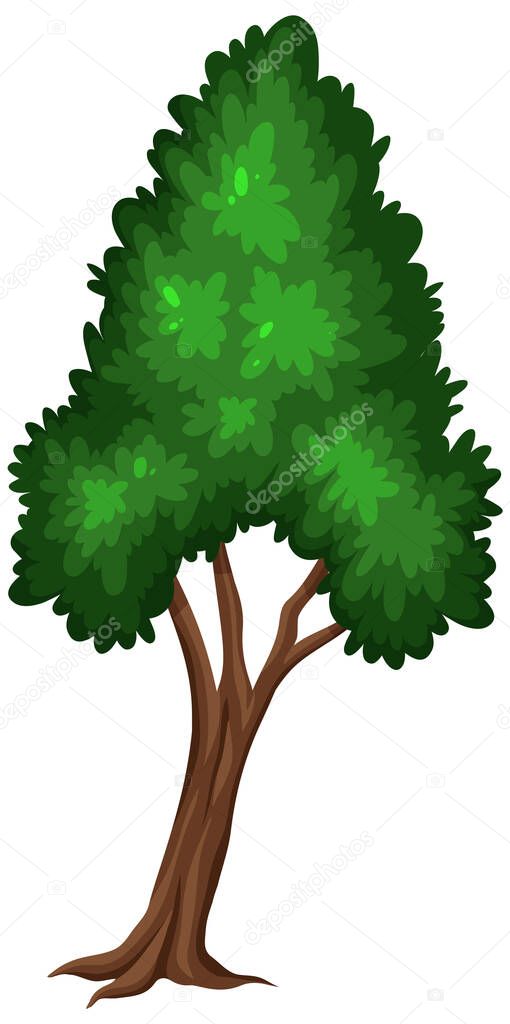 One big tree on white background illustration