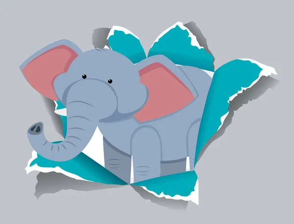 带有野生大象图解的背景模板设计 — 图库矢量图片