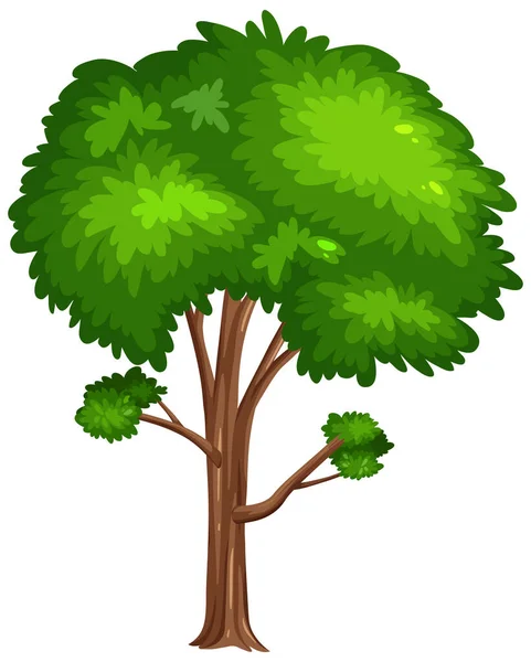 Satu Pohon Besar Dengan Ilustrasi Latar Belakang Putih - Stok Vektor