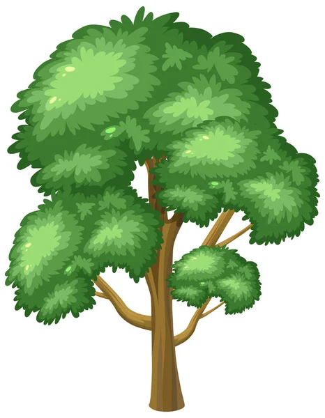 Gran Árbol Sobre Fondo Blanco Ilustración — Vector de stock