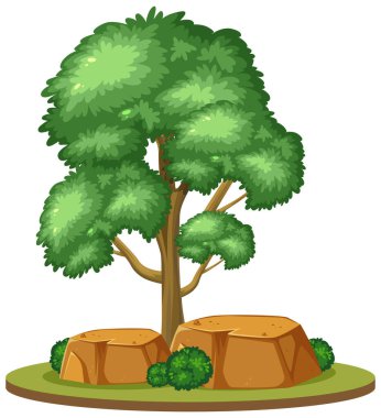 Beyaz arkaplan resimlerinde büyük bir ağaç