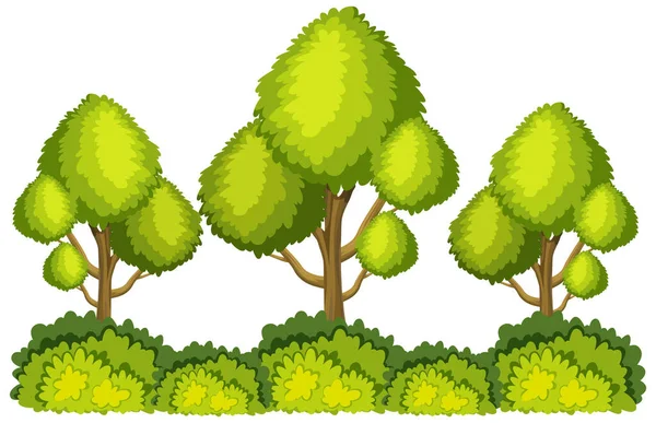 Stora Gröna Träd Vit Bakgrund Illustration — Stock vektor