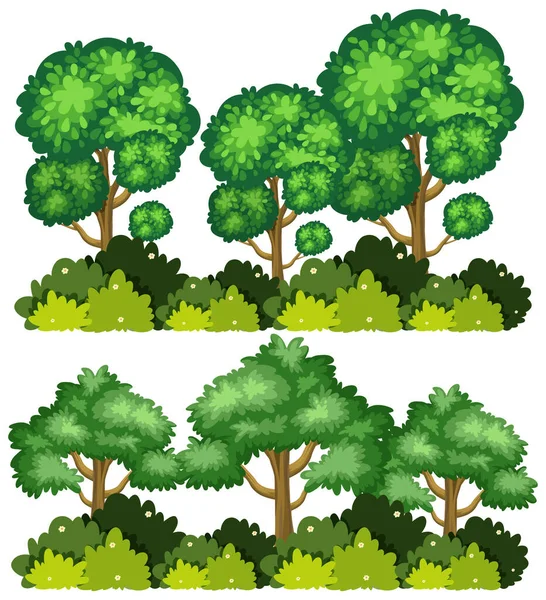 Twee Grote Bomen Witte Achtergrond Illustratie — Stockvector