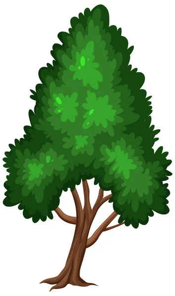 Uma Grande Árvore Fundo Branco Ilustração — Vetor de Stock