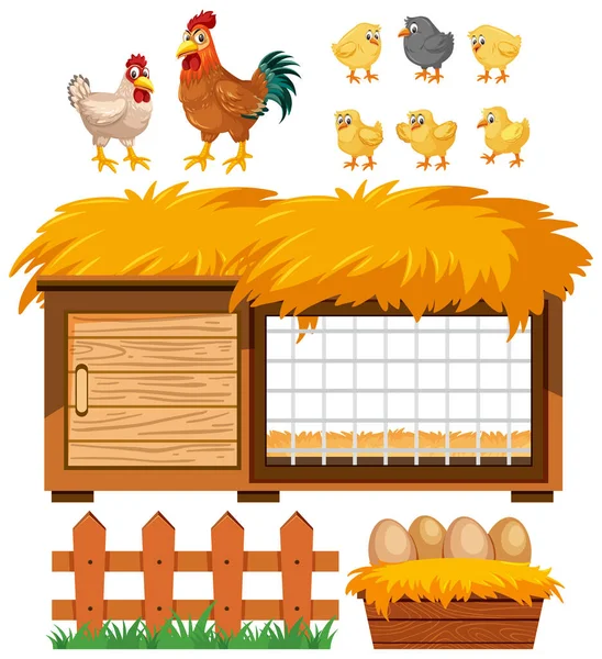 Coop Poulet Nombreux Poulets Sur Fond Blanc Illustration — Image vectorielle