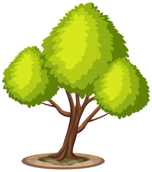 Ett Stort Träd Vit Bakgrund Illustration — Stock vektor