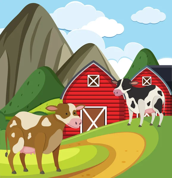 Farm Jelenet Két Tehén Vörös Pajta Gazdaságban Illusztráció — Stock Vector