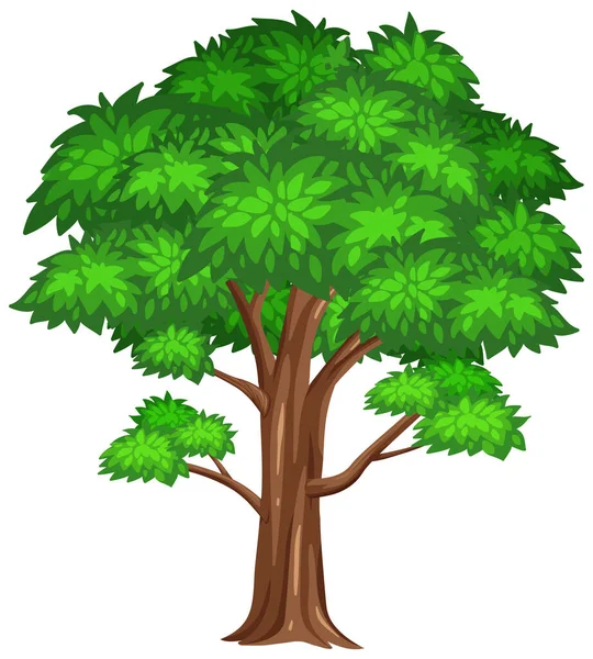 Gran Árbol Sobre Fondo Blanco Ilustración — Vector de stock