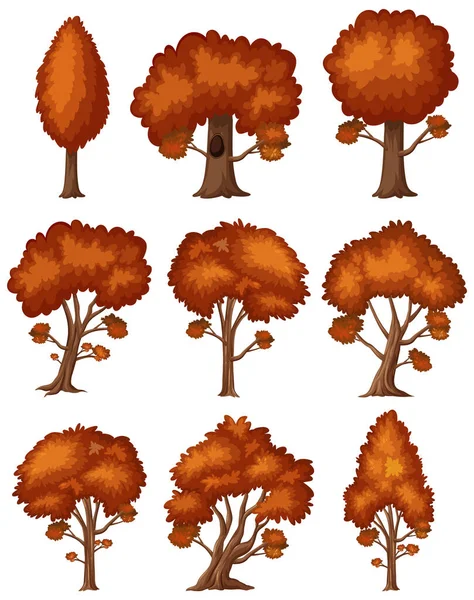 Ensemble Arbres Avec Des Feuilles Rouges Sur Fond Blanc Illustration — Image vectorielle