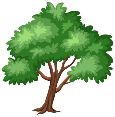 Beyaz arkaplan resimlerinde büyük bir ağaç