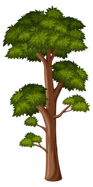 One Big Tree White Background Illustration — Stock Vector