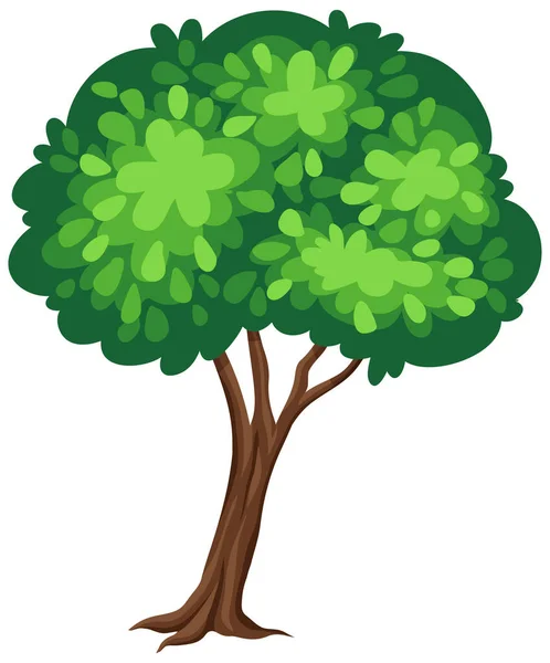 Uma Grande Árvore Fundo Branco Ilustração —  Vetores de Stock