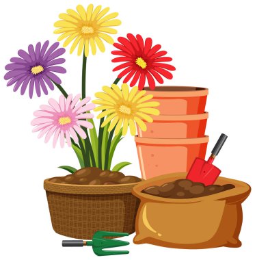 Beyaz arkaplandaki kil çömlekte renkli çiçekler