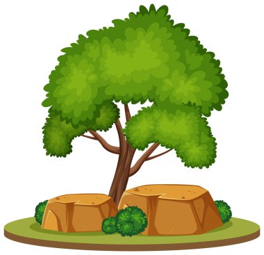 Beyaz arkaplan resimlerinde büyük bir ağaç