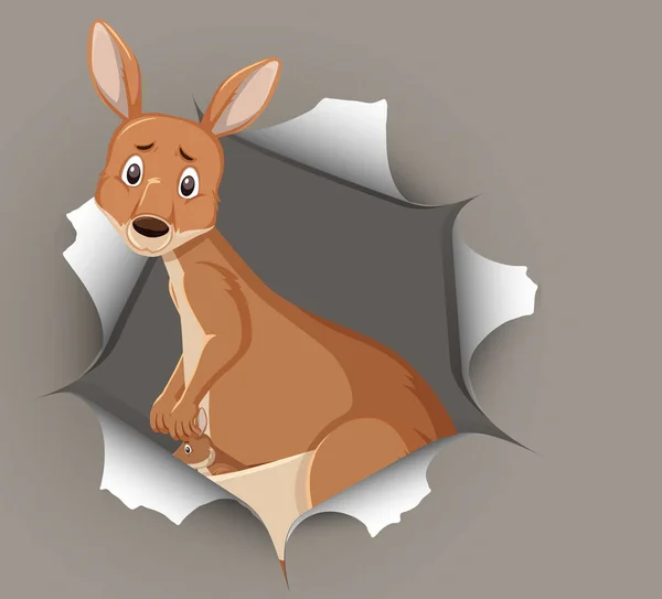 Niedliches Känguru Kommt Aus Rissiger Wand — Stockvektor