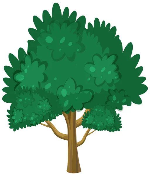 Gran Árbol Sobre Fondo Blanco Ilustración — Vector de stock