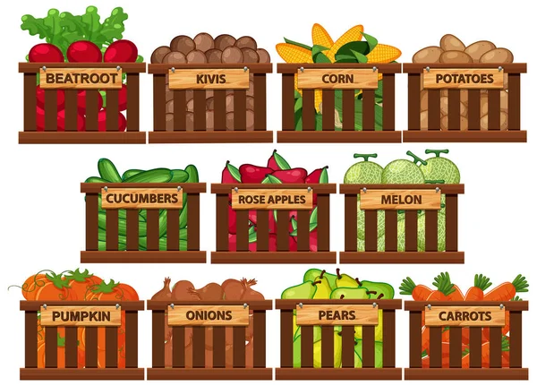 Färska Frukter Och Grönsaker Hinkar Vit Bakgrund Illustration — Stock vektor