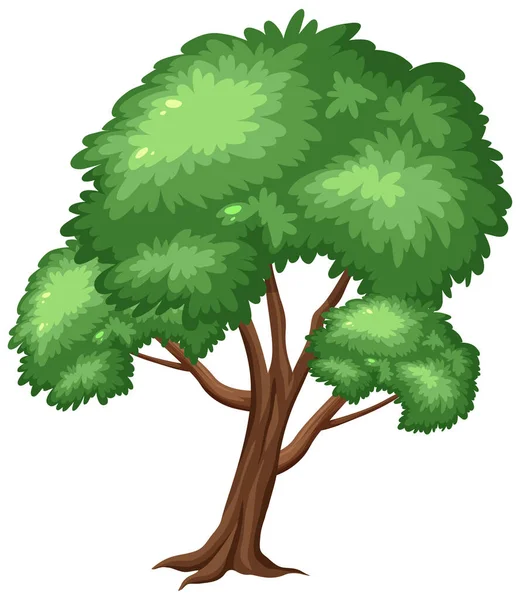 Gran Árbol Sobre Fondo Blanco Ilustración — Vector de stock