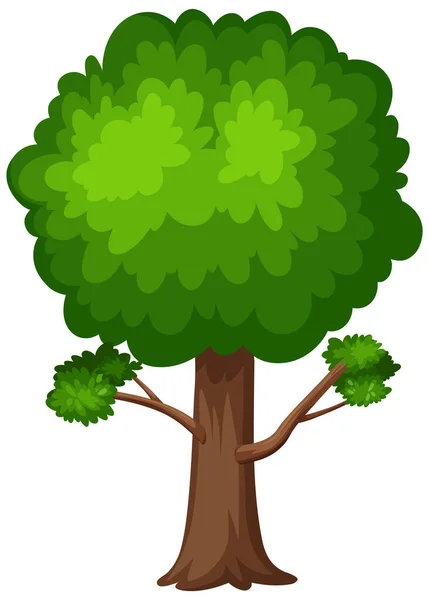 Gran Árbol Sobre Fondo Blanco Ilustración — Vector de stock