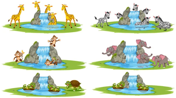 Grupo Animais Selvagens Personagem Desenho Animado Pequena Cachoeira Fundo Branco — Vetor de Stock