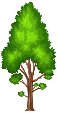 Beyaz arkaplan resimlerinde büyük bir ağaç