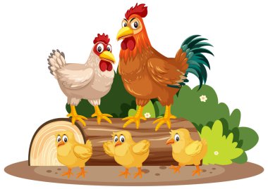 Parktaki piliçler ve küçük piliçler